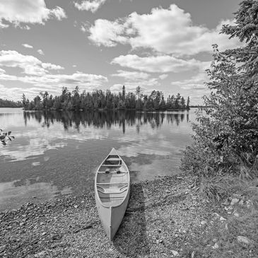 Water and trees we depend on for our livelihood, protected from fire, drought, and climate change.